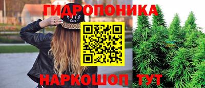 прущие грибы Бийск
