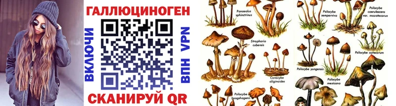 Галлюциногенные грибы прущие грибы  Керчь 