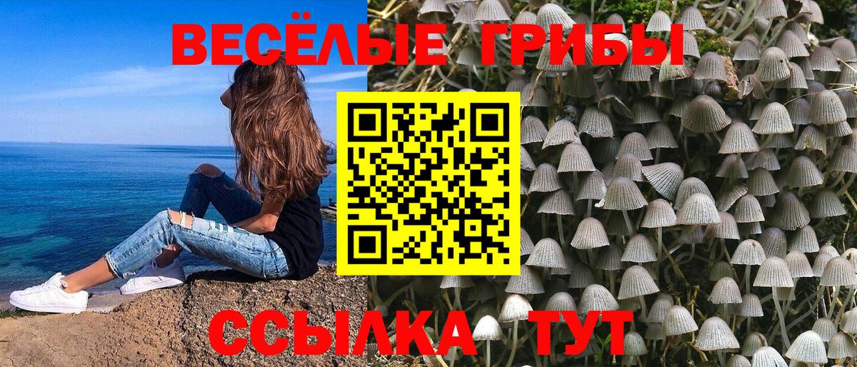 Псилоцибиновые грибы GOLDEN TEACHER  Вход с VPN  Галлюциногенные грибы MAGIC MUSHROOMS  Керчь 